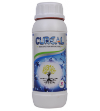 CUREAL - Zinc Based Anti Bacterial 500 ml